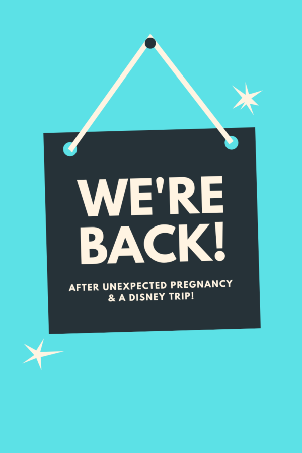 We’re back! Pregnancy & Disney Updates